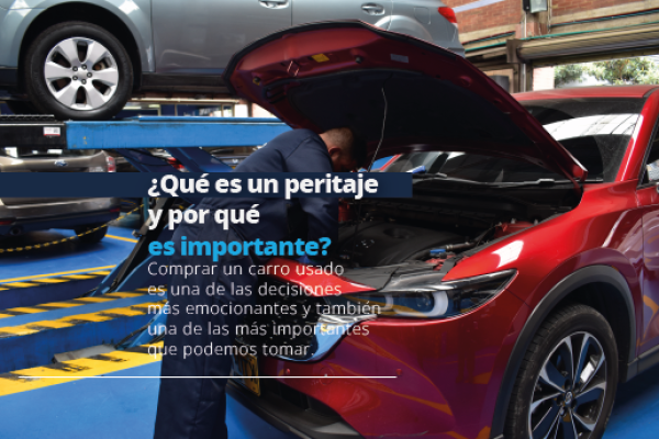 ¿Qué es un peritaje y por qué es importante?